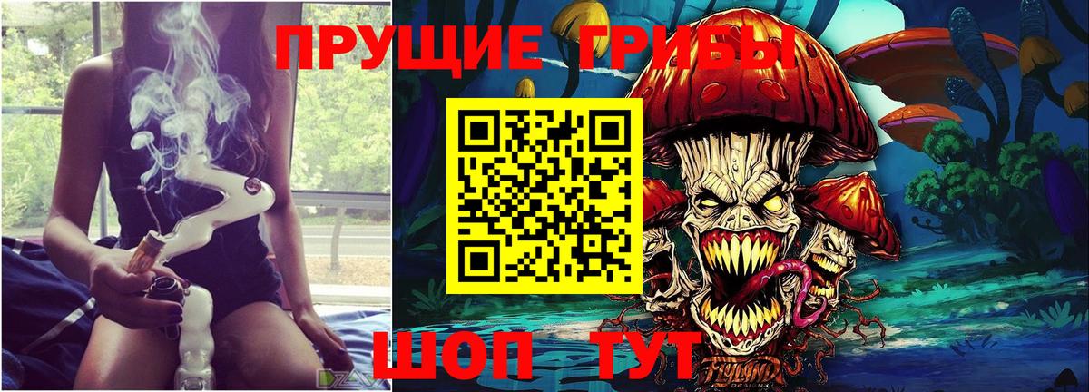Галлюциногенные грибы прущие грибы  Галлюциногенные грибы GOLDEN TEACHER  Вход с VPN  Сланцы 